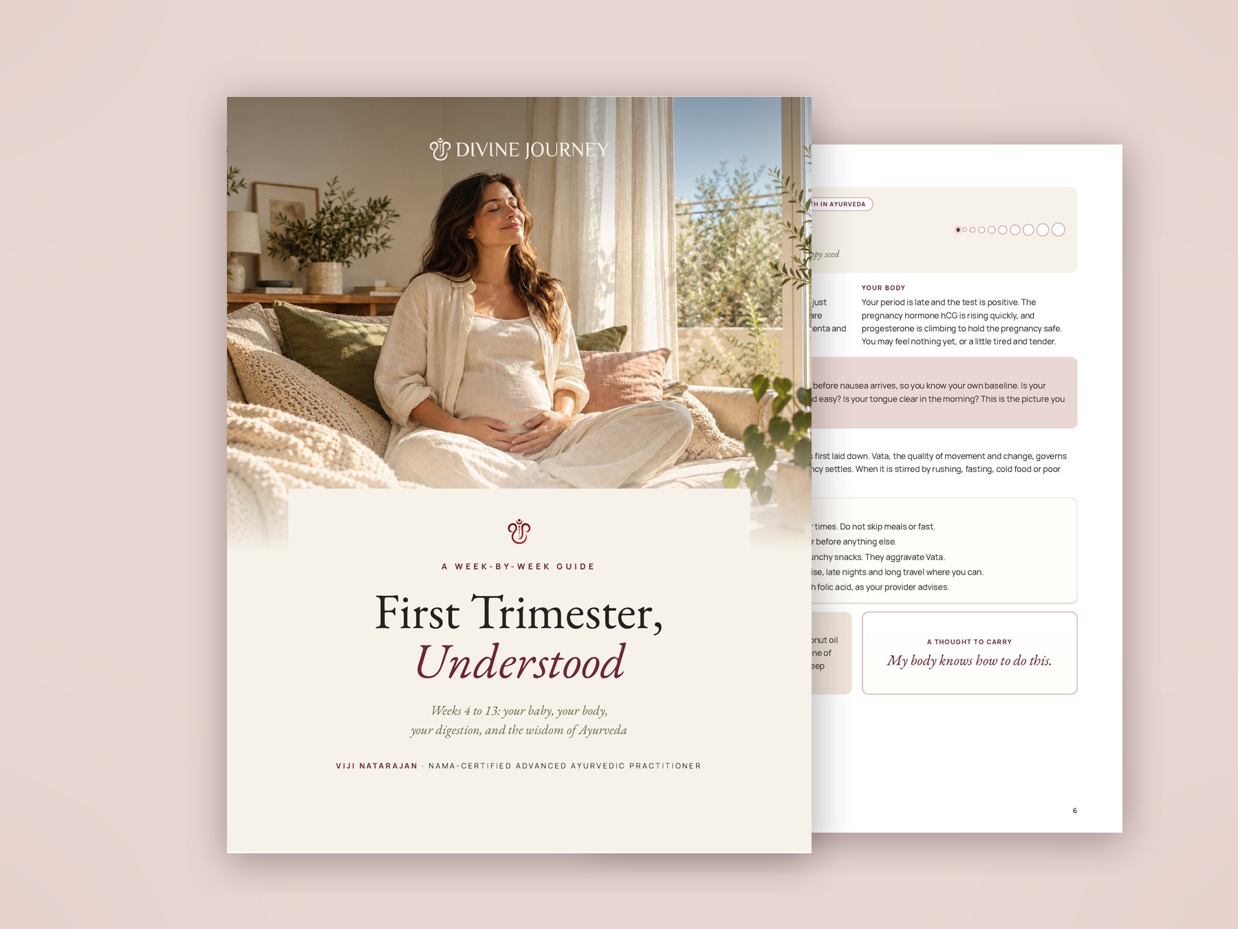 First Trimester, Understood guide cover and sample pages